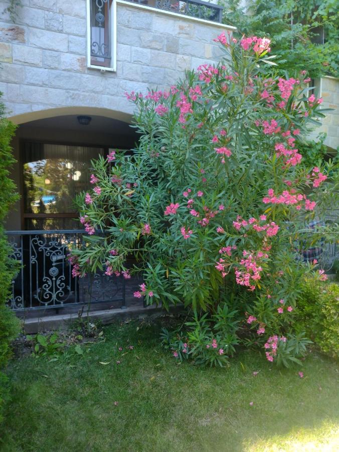Destination Bulgaria 2000 Cascadas Private Summer Family Apartments Слънчев бряг Екстериор снимка
